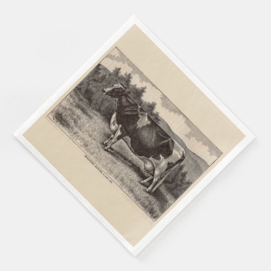 19e-eeuwse print Holstein vaars Servet (Hoek)