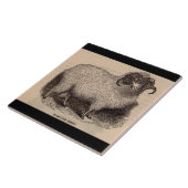 19e-eeuwse print Schotse hooglanders Tegeltje (Zijkant)