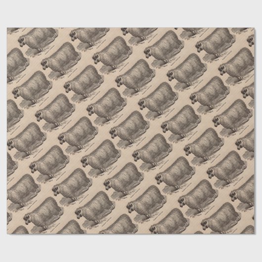 19e eeuwse printjaarschaap Katoen Cadeaupapier (Vlak)