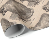 19e eeuwse printjaarschaap Katoen Cadeaupapier (Rol Hoek)