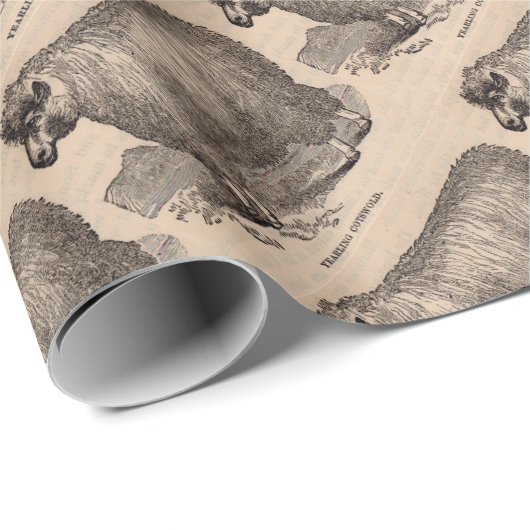 19e eeuwse printjaarschaap Katoen Cadeaupapier (Rol Hoek)