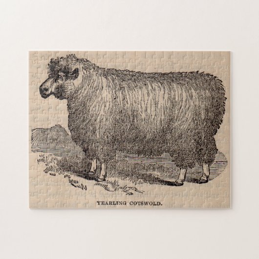 19e eeuwse printjaarschaap Katoen Legpuzzel (Horizontaal)