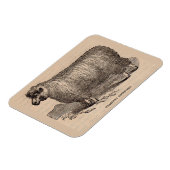 19e eeuwse printjaarschaap Katoen Magneet (Linkerzijde)