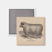 19e eeuwse printjaarschaap Katoen Magneet (Voorkant / Achterkant)