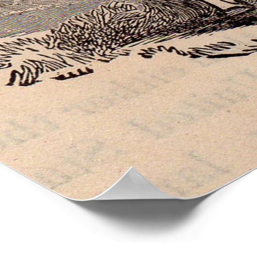 19e eeuwse printjaarschaap Katoen Poster (Hoek)