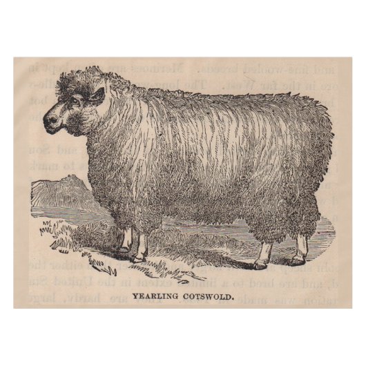 19e eeuwse printjaarschaap Katoen Tafelkleed (Voorkant (Horizontaal))