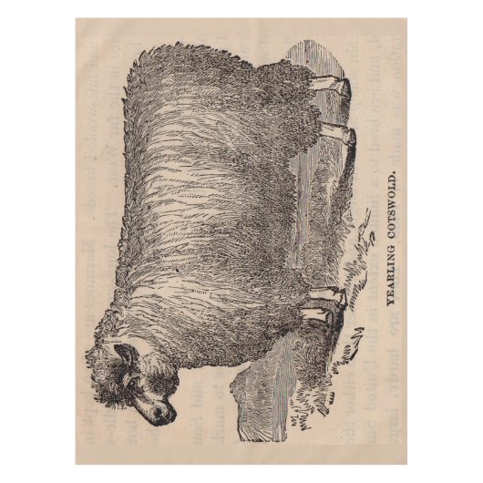 19e eeuwse printjaarschaap Katoen Tafelkleed (Voorkant)