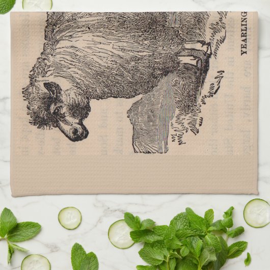 19e eeuwse printjaarschaap Katoen Theedoek (Gevouwen)