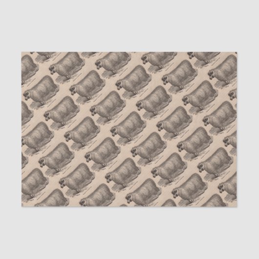 19e eeuwse printjaarschaap Katoen Tissuepapier (Voorkant)