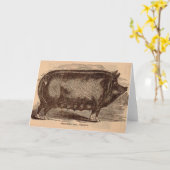 19e-eeuwse varkensfoto Berkshire zaag nr. 1 Kaart (Gele Bloem)