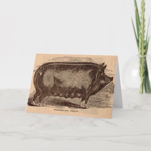 19e-eeuwse varkensfoto Berkshire zaag nr. 1 Kaart (Voorkant)