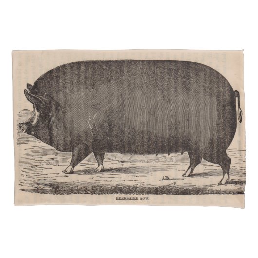 19e-eeuwse varkensfoto Berkshire zaag nr. 2 Kussensloop (Voorkant-Links)