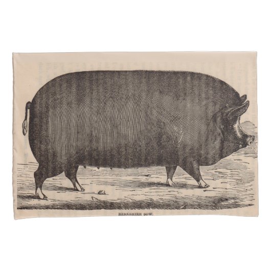 19e-eeuwse varkensfoto Berkshire zaag nr. 2 Kussensloop (Voorkant-Rechts)