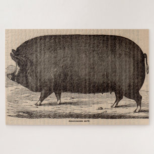 19e-eeuwse varkensfoto Berkshire zaag nr. 2 Legpuzzel