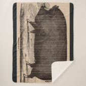 19e-eeuwse varkensfoto Berkshire zaag nr. 2 Sherpa Deken (Voorkant)