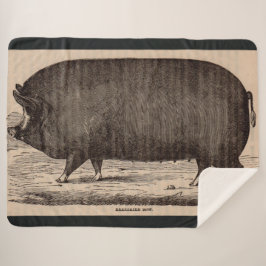 19e-eeuwse varkensfoto Berkshire zaag nr. 2 Sherpa Deken