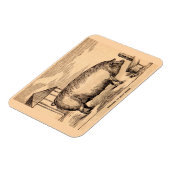 19e-eeuwse varkensfoto "Breeder in Good Flesh" Magneet (Linkerzijde)