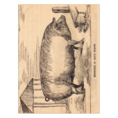 19e-eeuwse varkensfoto "Breeder in Good Flesh" Tafelkleed (Voorkant)