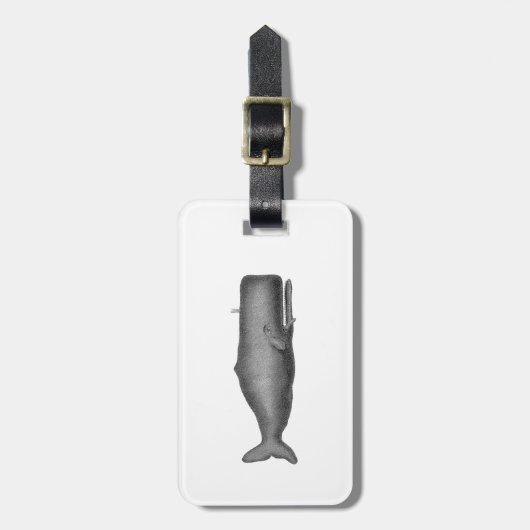  19e eeuwse walvistekening N Bagagelabel (Voorkant verticaal)