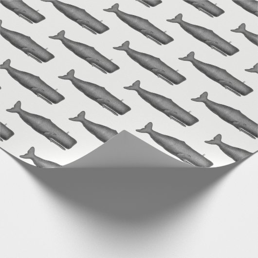  19e eeuwse walvistekening N Cadeaupapier (Hoek)