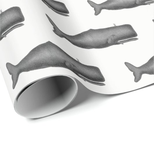  19e eeuwse walvistekening N Cadeaupapier (Rol Hoek)