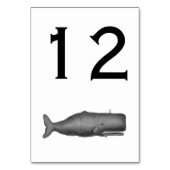  19e eeuwse walvistekening N Kaart (Achterkant)