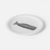 19e eeuwse walvistekening N Papieren Bordje (Gekanteld)