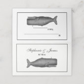  19e eeuwse walvistekening N Plaatskaartje (Buitenkant ongevouwen)