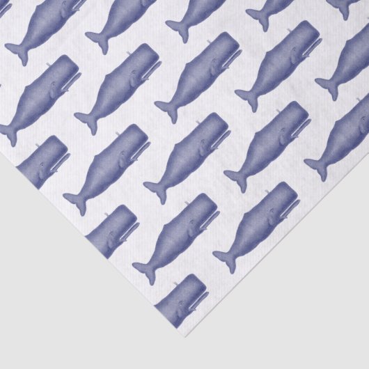  19e eeuwse walvistekening N Tissuepapier (Detail)