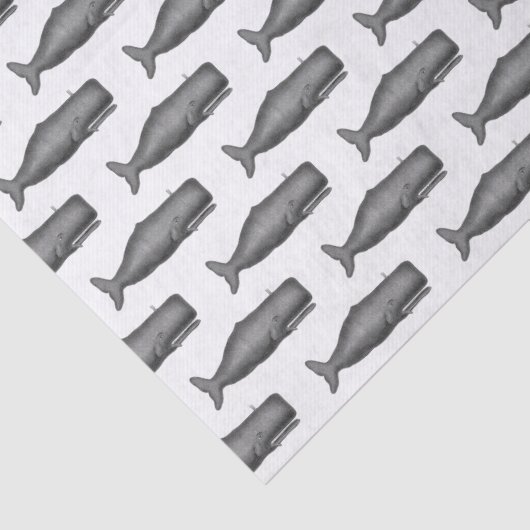  19e eeuwse walvistekening N Tissuepapier (Detail)