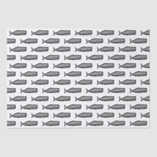 19e eeuwse walvistekening N Tissuepapier (Voorkant)