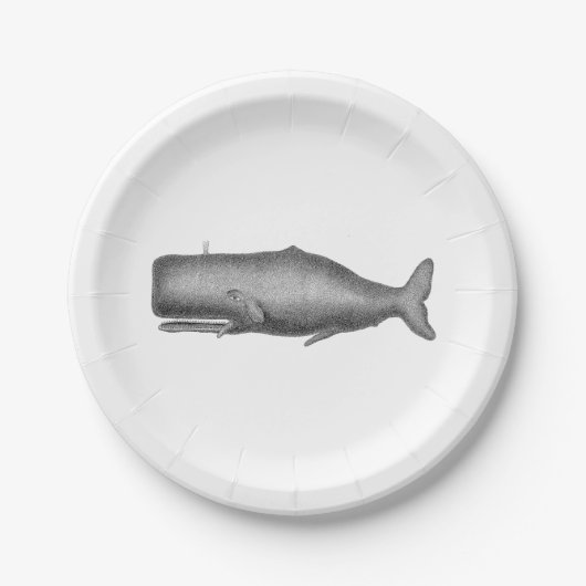 19e eeuwse walvistekening papieren bordje (Voorkant)