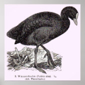 19e-eeuwse weekblad poster (Voorkant)