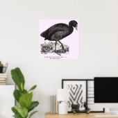 19e-eeuwse weekblad poster (Thuiskantoor)