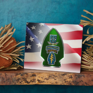 19e groep speciale strijdkrachten (AIRBORNE) Fotoplaat