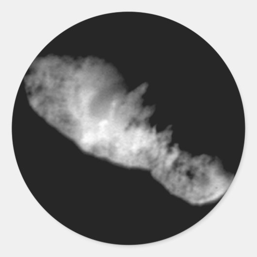 19P/Borrelly Ronde Sticker (Voorkant)