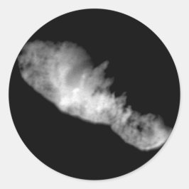 19P/Borrelly Ronde Sticker