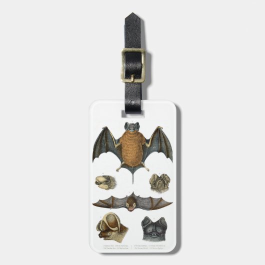 19th C. Bat Print Bagagelabel (Voorkant verticaal)
