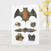 19th C. Bat Print Kaart (Gele Bloem)
