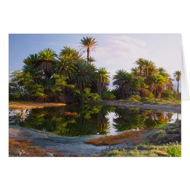 1.000.000 jaar B.C. (Voorkant Horizontaal)