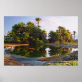 1.000.000 jaar B.C. Poster (Voorkant)