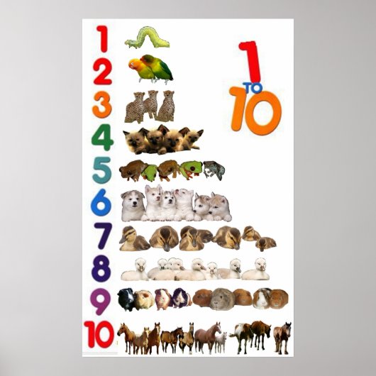 1 - 10 Nummers Poster (Voorkant)