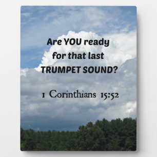 1. 15:52 - De verkrachting! Fotoplaat