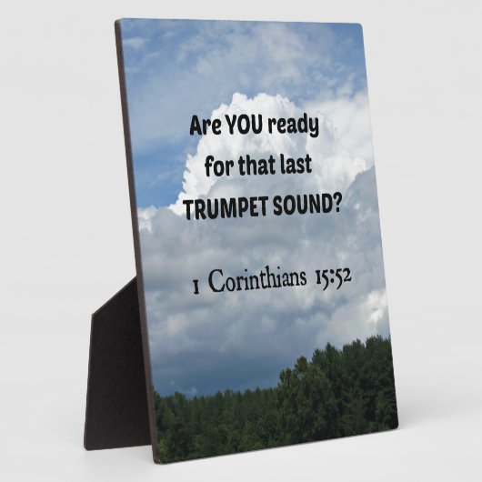 1. 15:52 - De verkrachting! Fotoplaat (Zijkant)