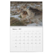 1 2016 Silken Windhounds door Jane Gray Calendar Kalender (Feb 2027)