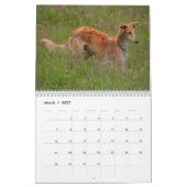 1 2016 Silken Windhounds door Jane Gray Calendar Kalender (Mar 2027)