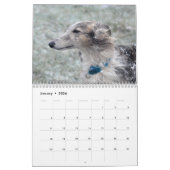 1 2016 Silken Windhounds door Jane Gray Calendar Kalender (Jan 2026)