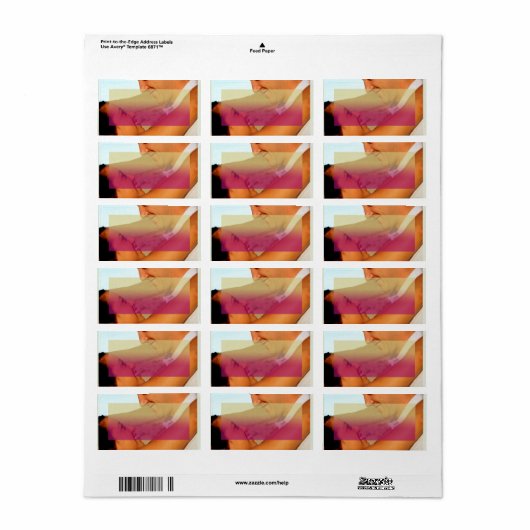 1.25 "x2.75" Mailadres Sunset Fade Pink Foto Etiket (Full Sheet)