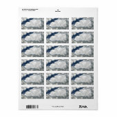 1.25 "x2.75" Mailing Adres Gebarsten Ijs Winter Etiket (Full Sheet)