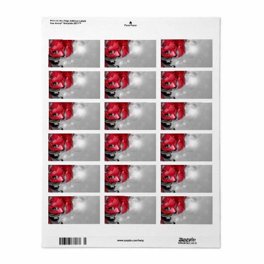 1.25"x2.75"Mailing Adres Rode Maskerade Masker Etiket (Full Sheet)